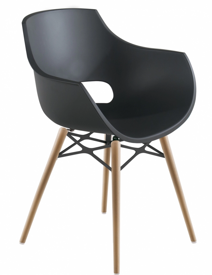 Кресло Litolan Papatya Opal Wox Бук Матовый Антроцит (DR001865) Кресло Litolan Papatya Opal Wox Бук Матовый Антроцит (DR001865)