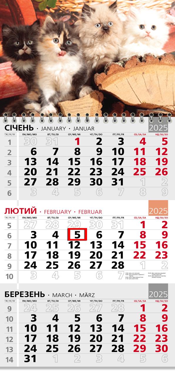 Календар на 2025 р. Офісний 3 Муркотіння чотирьох Календар на 2025 р. Офісний 3 Муркотіння чотирьох