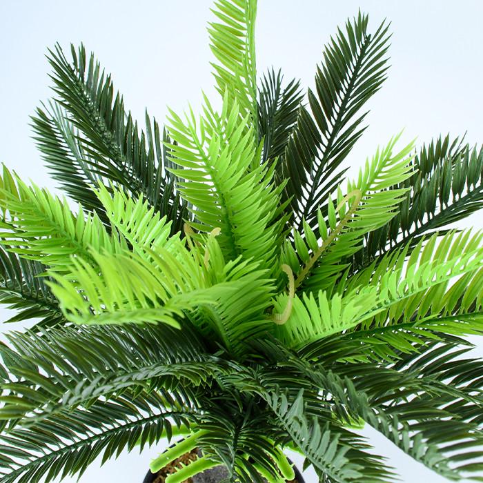 Штучна рослина Engard Cycas Palm 60 см (DW-24) - фото 6