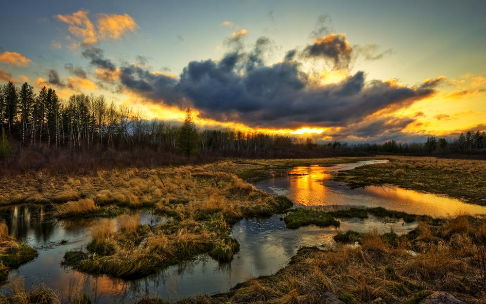 Картина Природа PR050 55х85 см