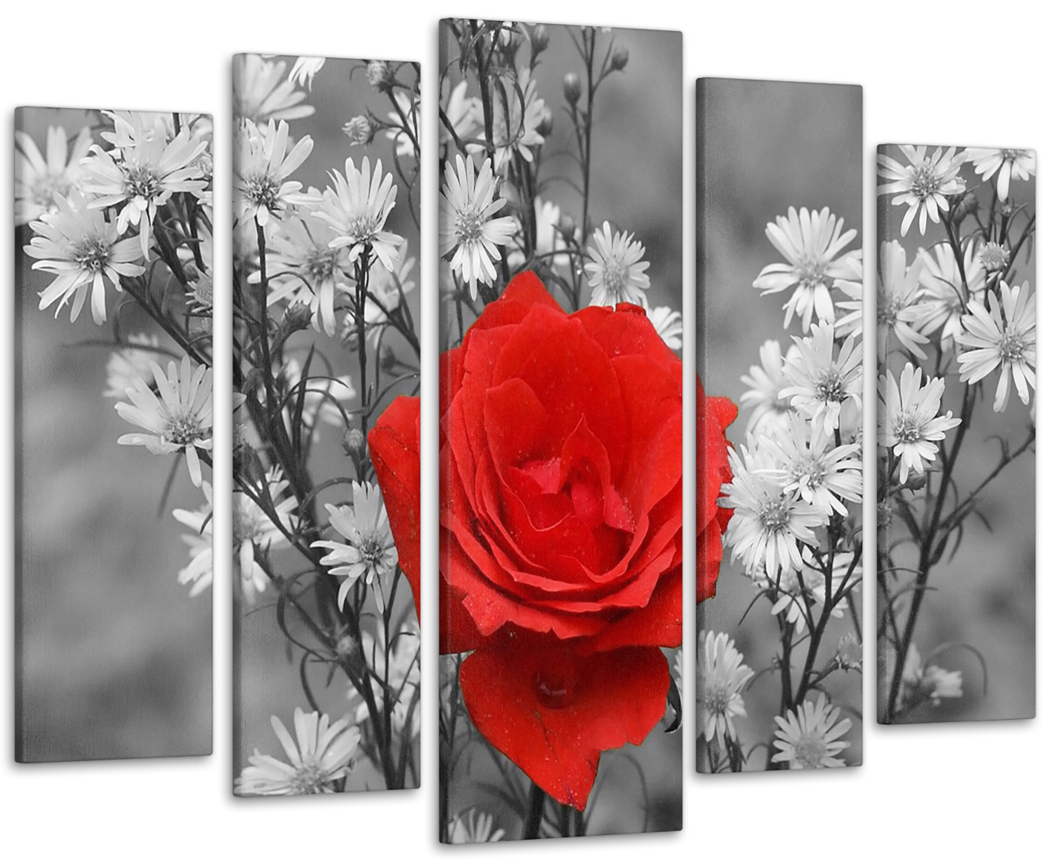 Модульная картина Цветы Роза 99х140 см (Art-3_5)