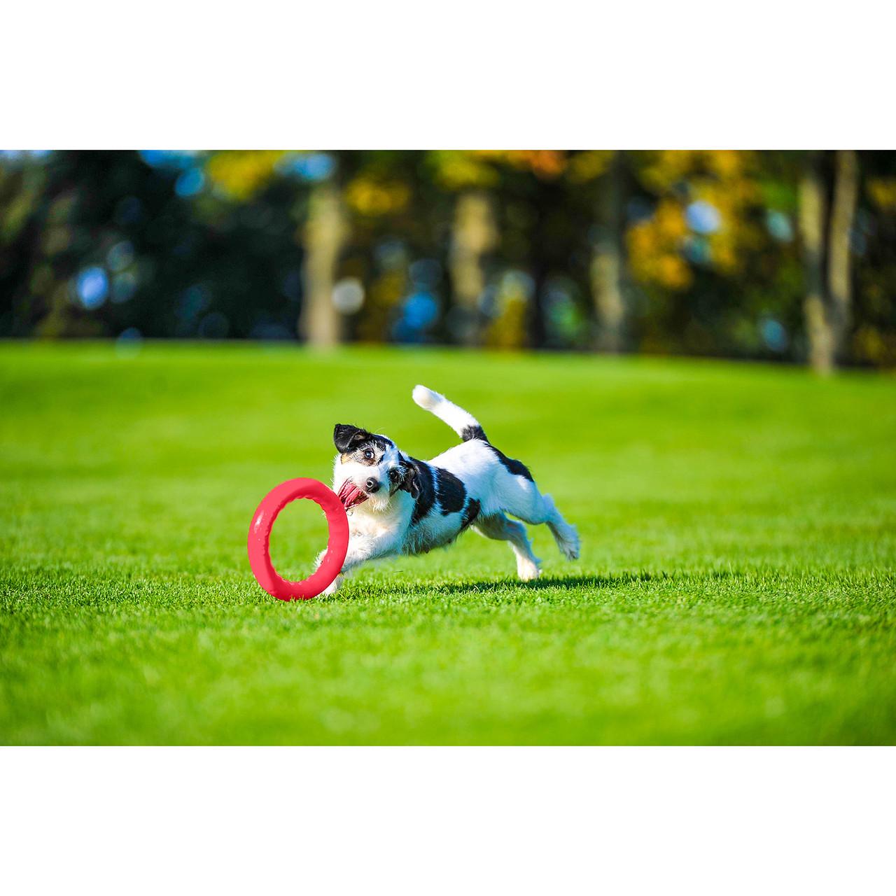 Іграшка для собак PitchDog 20 см Рожевий (62377) - фото 3 Іграшка для собак PitchDog 20 см Рожевий (62377) - фото 3