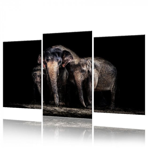 Картина модульная 3 части ArtStar Слоны 120х180 см ADJ0017