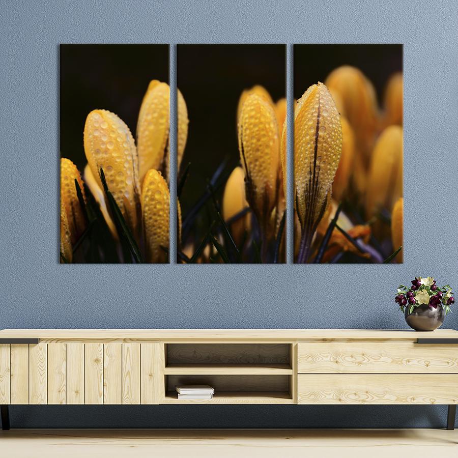 Картина на холсте триптих Бутоны жёлтых крокусов 156x100 см (797-31)