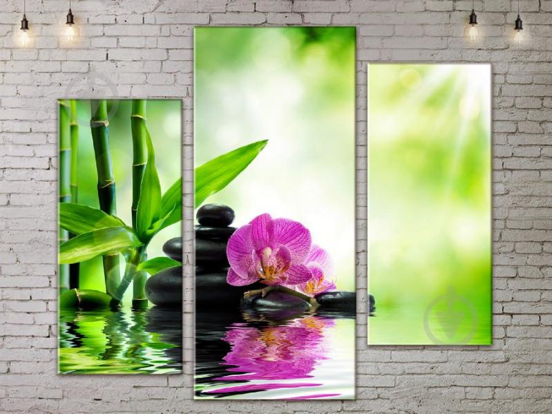 Модульная картина ArtStar цветы Орхидея на Камнях ADFL0212 размер 150 х 180 см