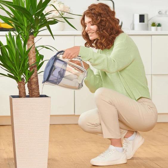 Фильтр-кувшин ECOSOFT Maxima 5 л Сапфировый (FMVMAXIMADBECO) - фото 9 Фильтр-кувшин ECOSOFT Maxima 5 л Сапфировый (FMVMAXIMADBECO) - фото 9