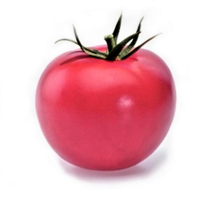 Насіння Томат Індетермінантний Rijk Zwaan NARGIZA F1 100 шт. (178579844654)