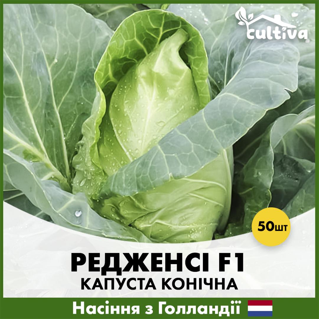 Семена капусты Hazera Коническая Редженси F1 50 шт. (R51000)
