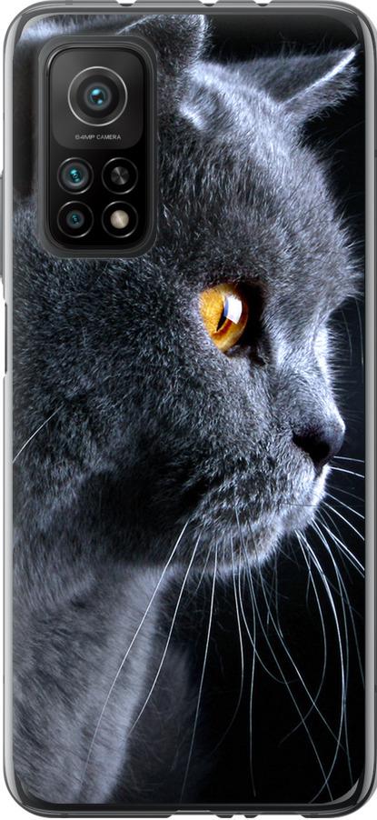 Чехол на Xiaomi Mi 10T Красивый кот (3038u-2096-42517)