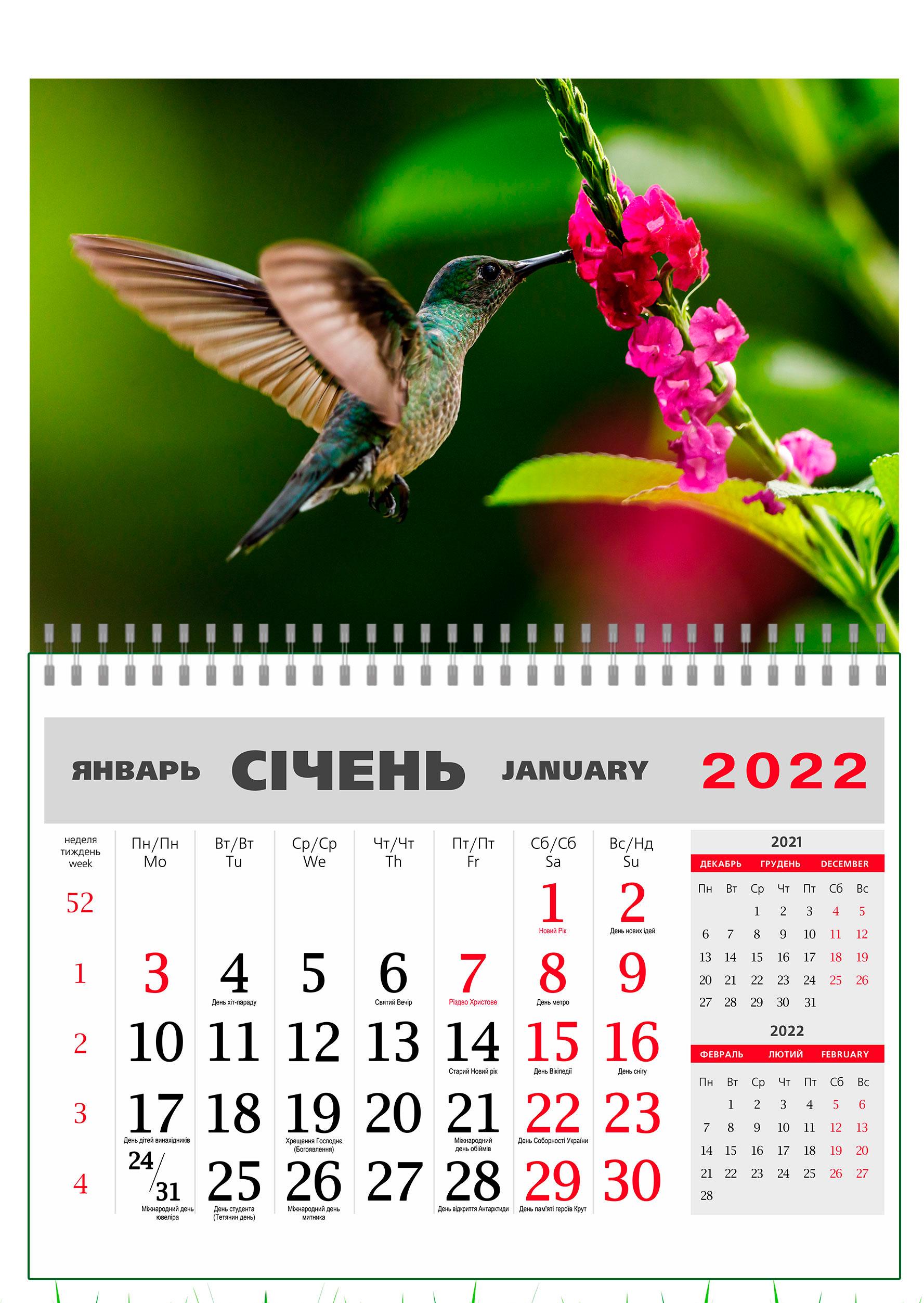 Календарь Apriori Колибри настенный квартальный на 2022 год 42х60 см