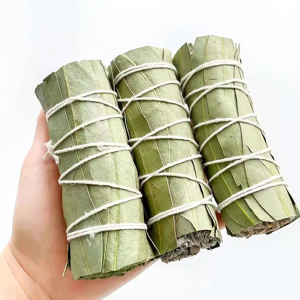 Скрутка для окуривания травяная Эвкалипт пучок благовоний вязанка (10-13) - фото 3 Скрутка для окуривания травяная Эвкалипт пучок благовоний вязанка (10-13) - фото 3