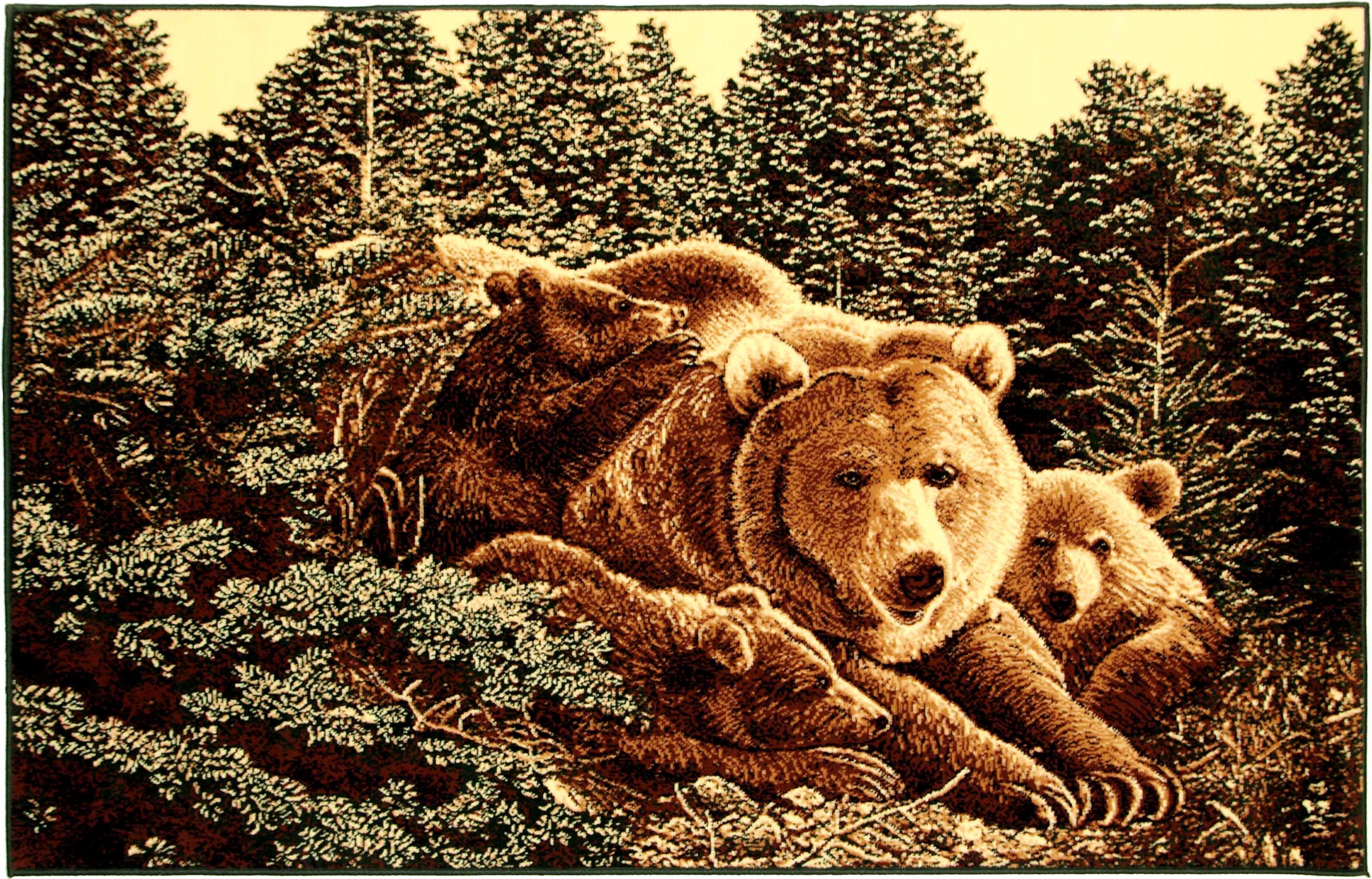 Ковер Karat Gold 220/133 1,5x2,3 м прямоугольный Зеленый (00-00001868) Ковер Karat Gold 220/133 1,5x2,3 м прямоугольный Зеленый (00-00001868)