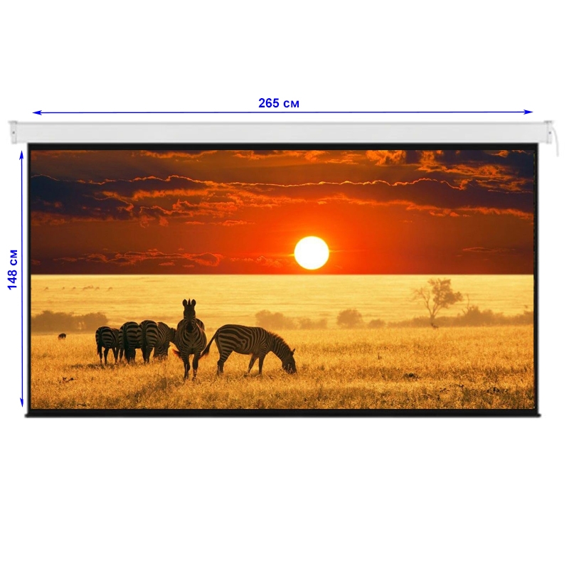 Екран проекційний EQUIPIFY ESAA120 моторизований настінний стельовий 120" 265x148 см 16:9 (tf2649) - фото 6 Екран проекційний EQUIPIFY ESAA120 моторизований настінний стельовий 120" 265x148 см 16:9 (tf2649) - фото 6