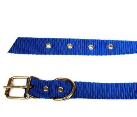 Ошейник для животных капроновый одинарный 25 мм х 60 см Синий (2296440296) - фото 1 Ошейник для животных капроновый одинарный 25 мм х 60 см Синий (2296440296) - фото 1