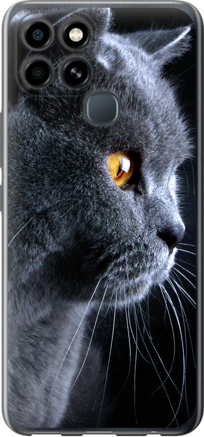 Чехол на Infinix Smart 6 Красивый кот (3038b-2758-42517)