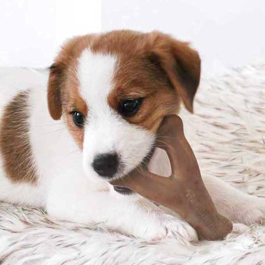 Игрушки жевательные для щенков Benebone Puppy Pack Bacon 2 шт. (20040139) - фото 3