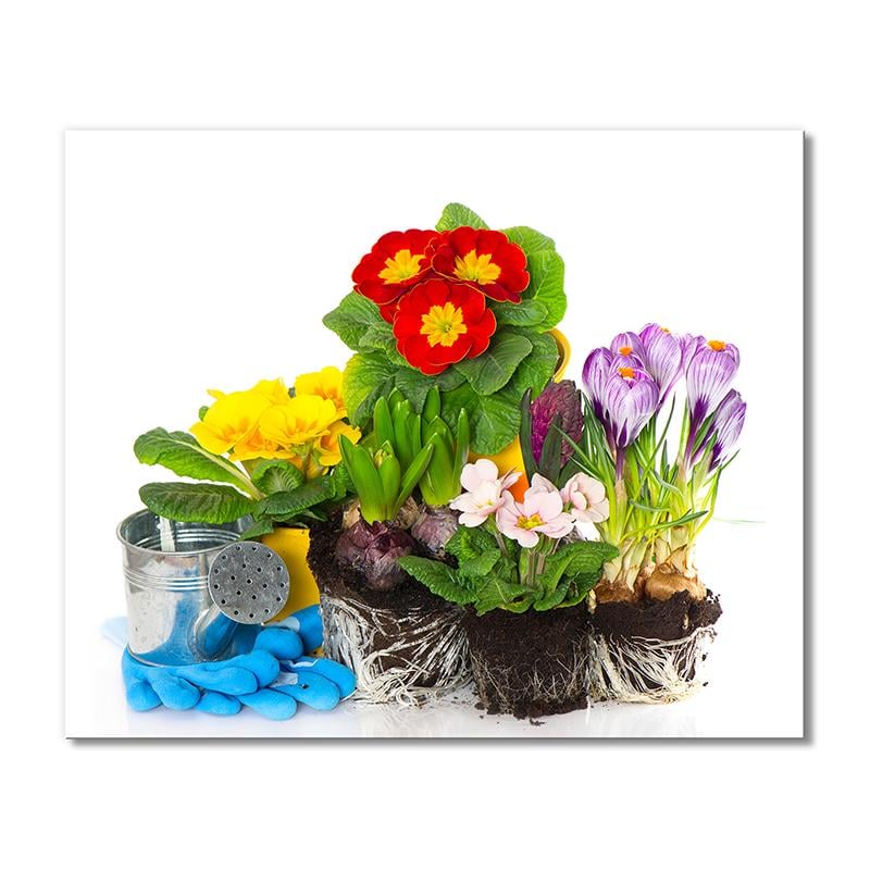 Картина модульная Весенние вазончики цветов 1 модуль 40х60 см