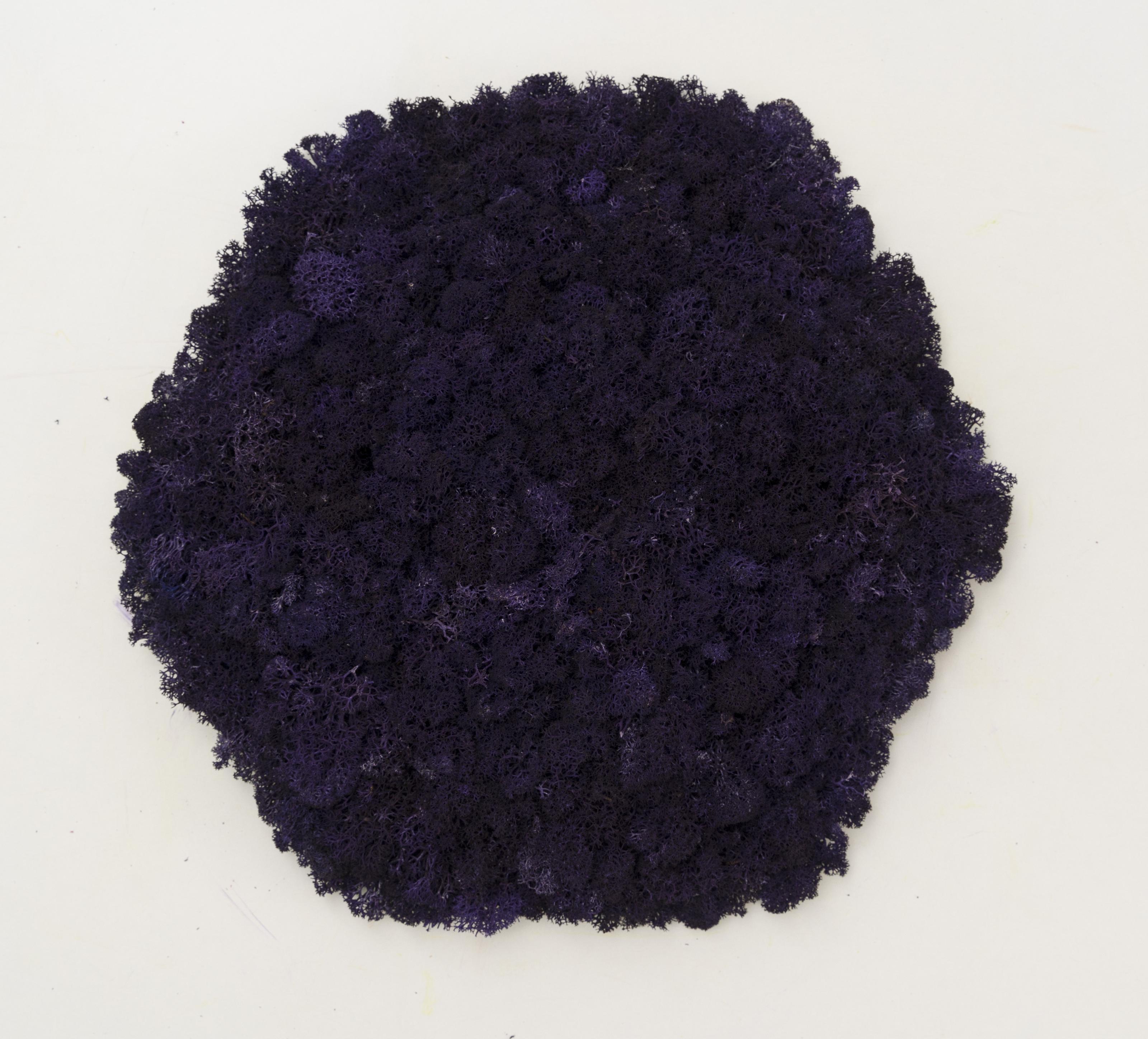 Декоративное панно из мха Organic Design шестиугольная панель 33 см Purple (702-11) - фото 4 Декоративное панно из мха Organic Design шестиугольная панель 33 см Purple (702-11) - фото 4