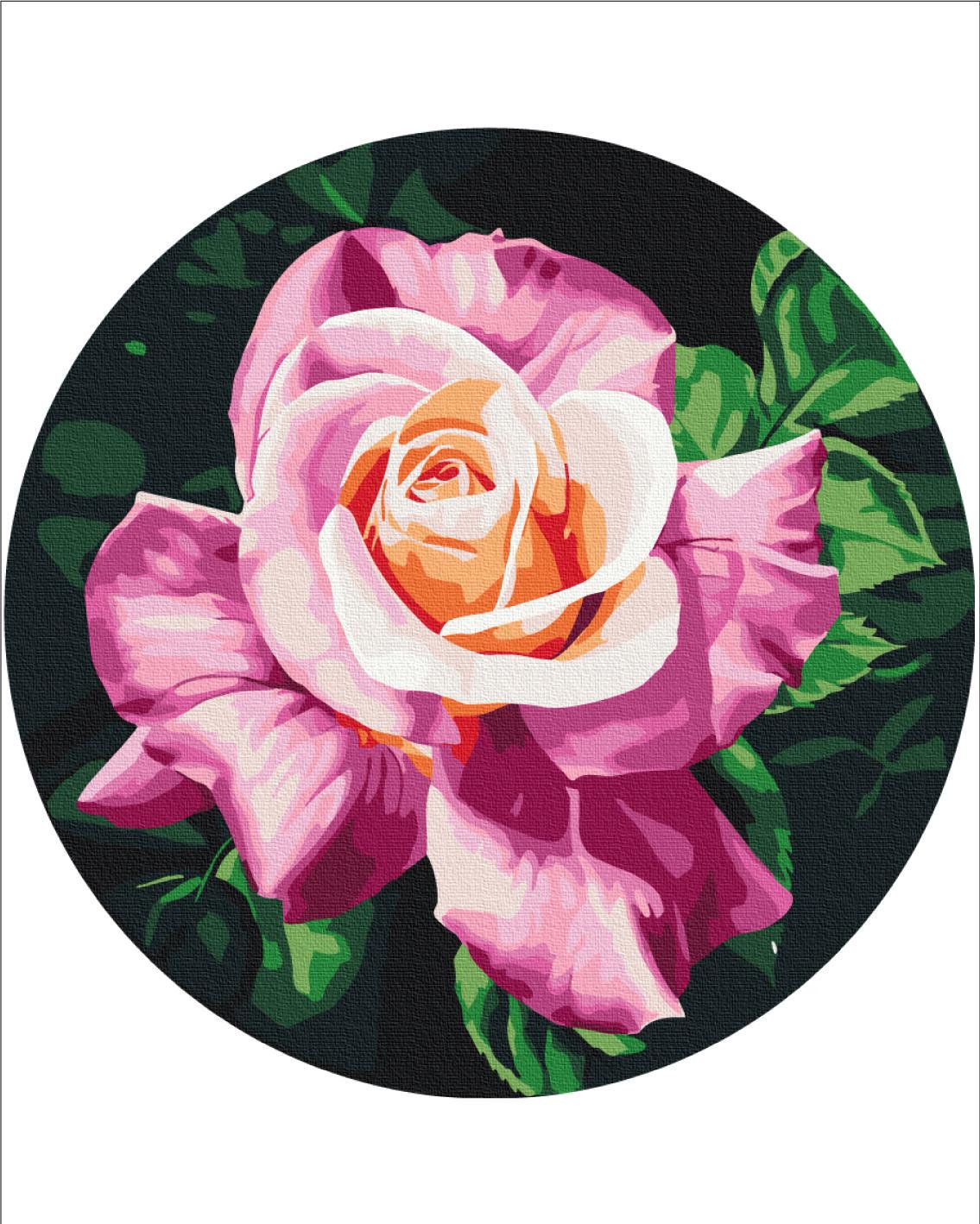 Картина за номерами Brushme Красуня в саду 30 см 30x30 см (RC00073M)