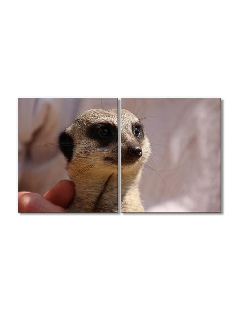 Картина модульная Сурикат 2 модуля 60x90 см