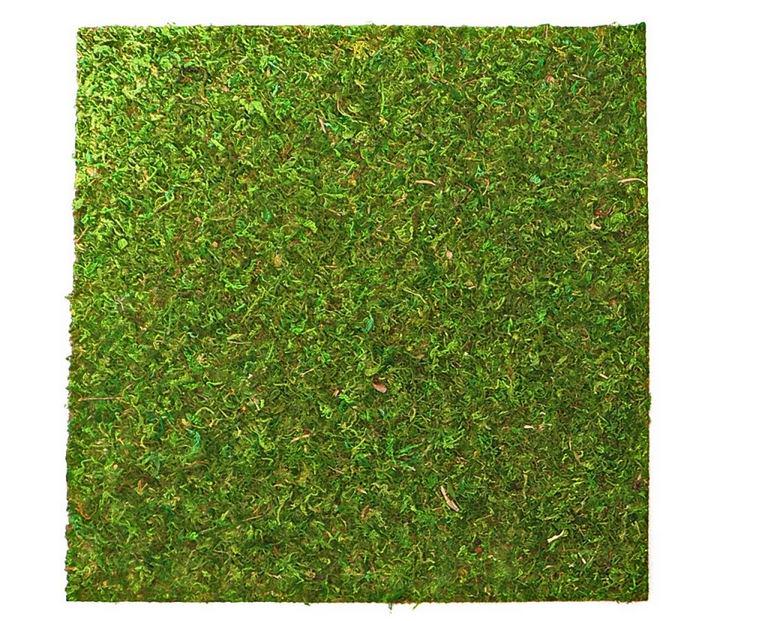 Фон моховый Repti-Zoo Natural Moss Back & Bottom 45x45 см 2 шт. (Nсм4545) Фон моховый Repti-Zoo Natural Moss Back & Bottom 45x45 см 2 шт. (Nсм4545)