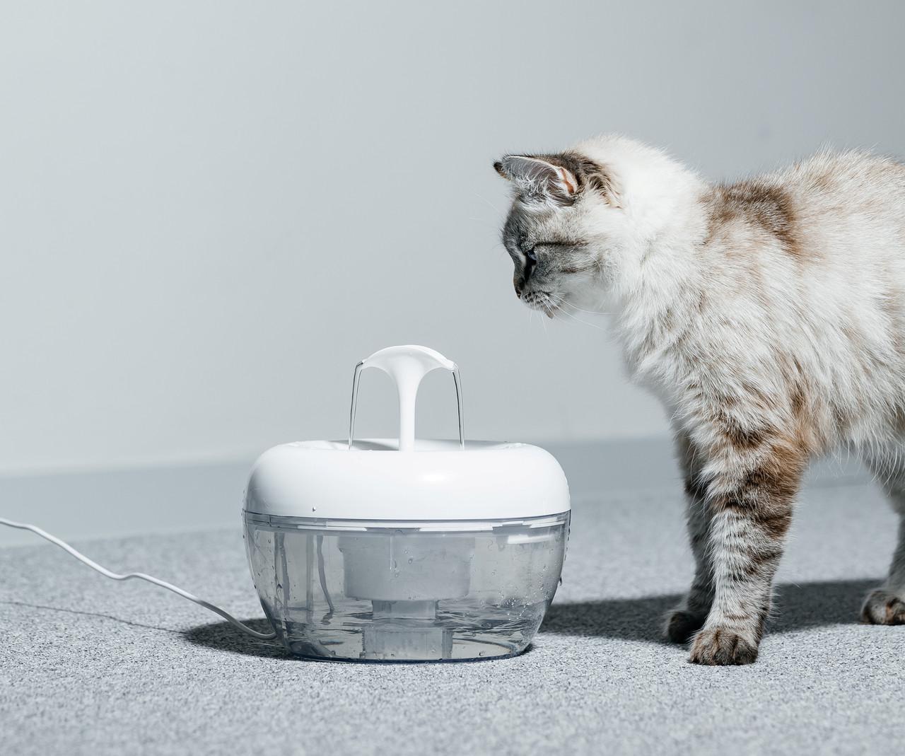 Поилка фонтан для кошек PAWOOF 1,5 л с фильтром (1069312191) - фото 3