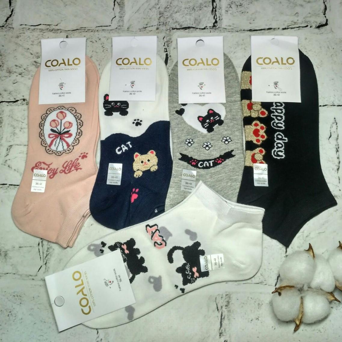 Носки женские хлопковые короткие Котики набор 5 пар р. 36-41 Пастельные (BM6756) Носки женские хлопковые короткие Котики набор 5 пар р. 36-41 Пастельные (BM6756)