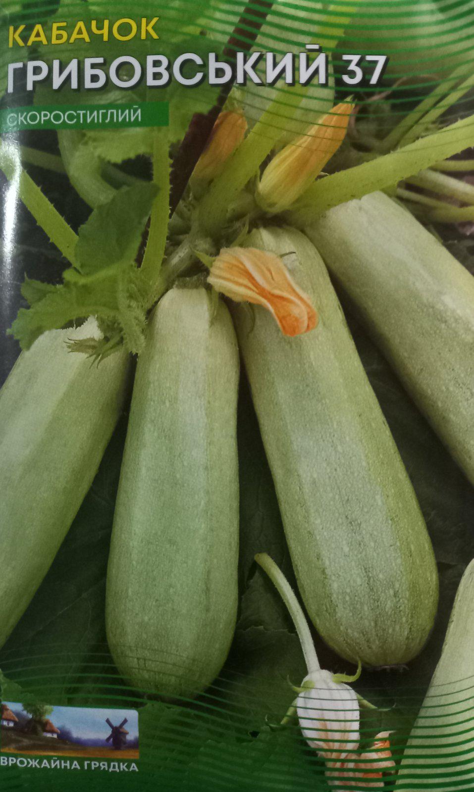 Кабачок Грибовский 15 г (279)