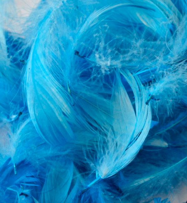 Перья для декора натуральные 12 г Голубой