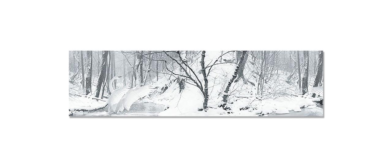 Наклейка виниловая на кухню Zatarga Белый Лебедь 650х2500 мм (1274515427)