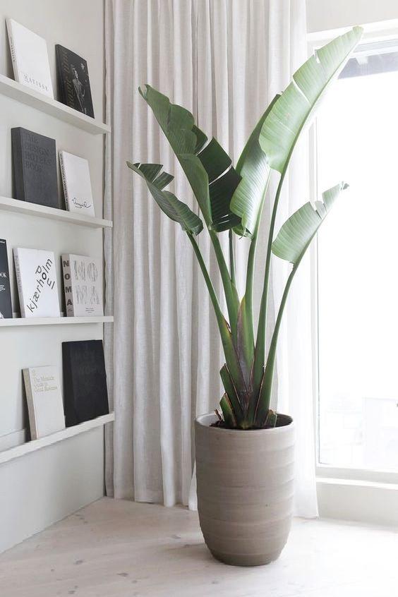 Вазон бетонний Алассіо вуличний 440x350 мм 26 л (1918859816) - фото 4 Вазон бетонний Алассіо вуличний 440x350 мм 26 л (1918859816) - фото 4