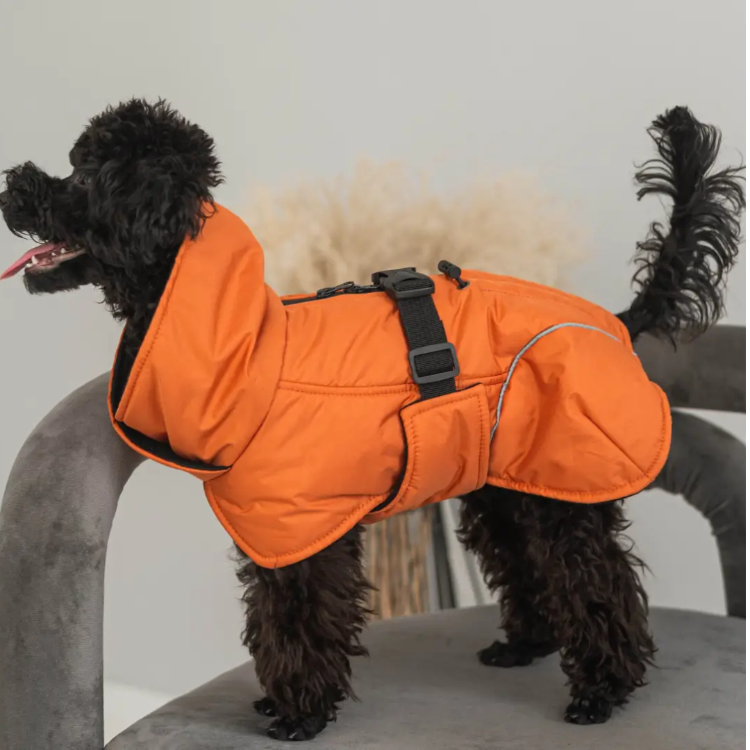 Жилет попона Dogs Bomba GP-3/11 Помаранчевий