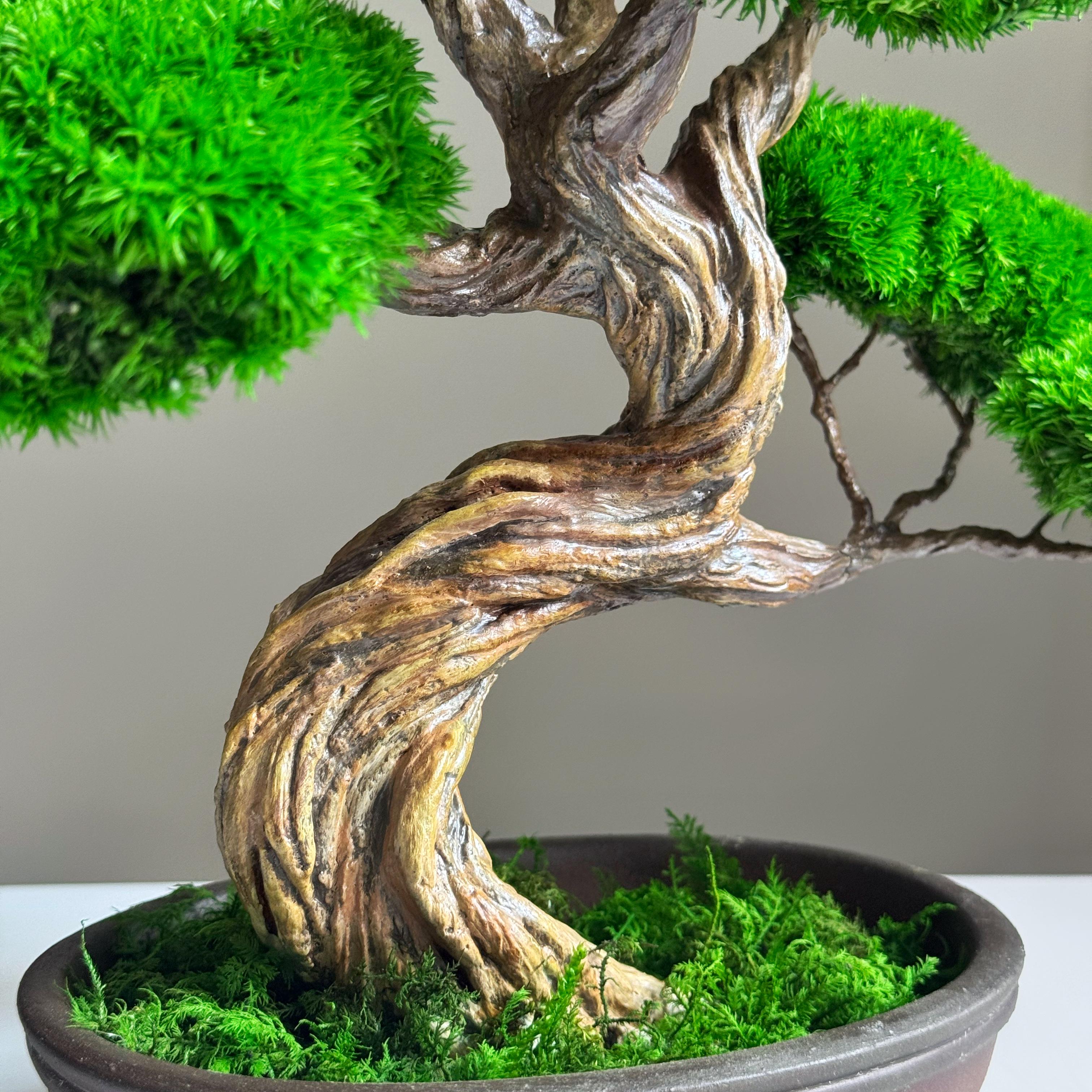 Бонсай зі стабілізованих рослин 26х25 см - фото 6