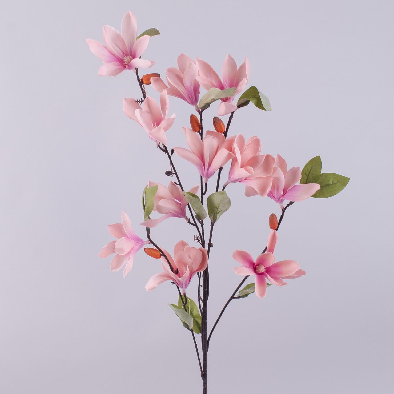 Магнолия мелкая на 5 веточек (кораллово-розовая)