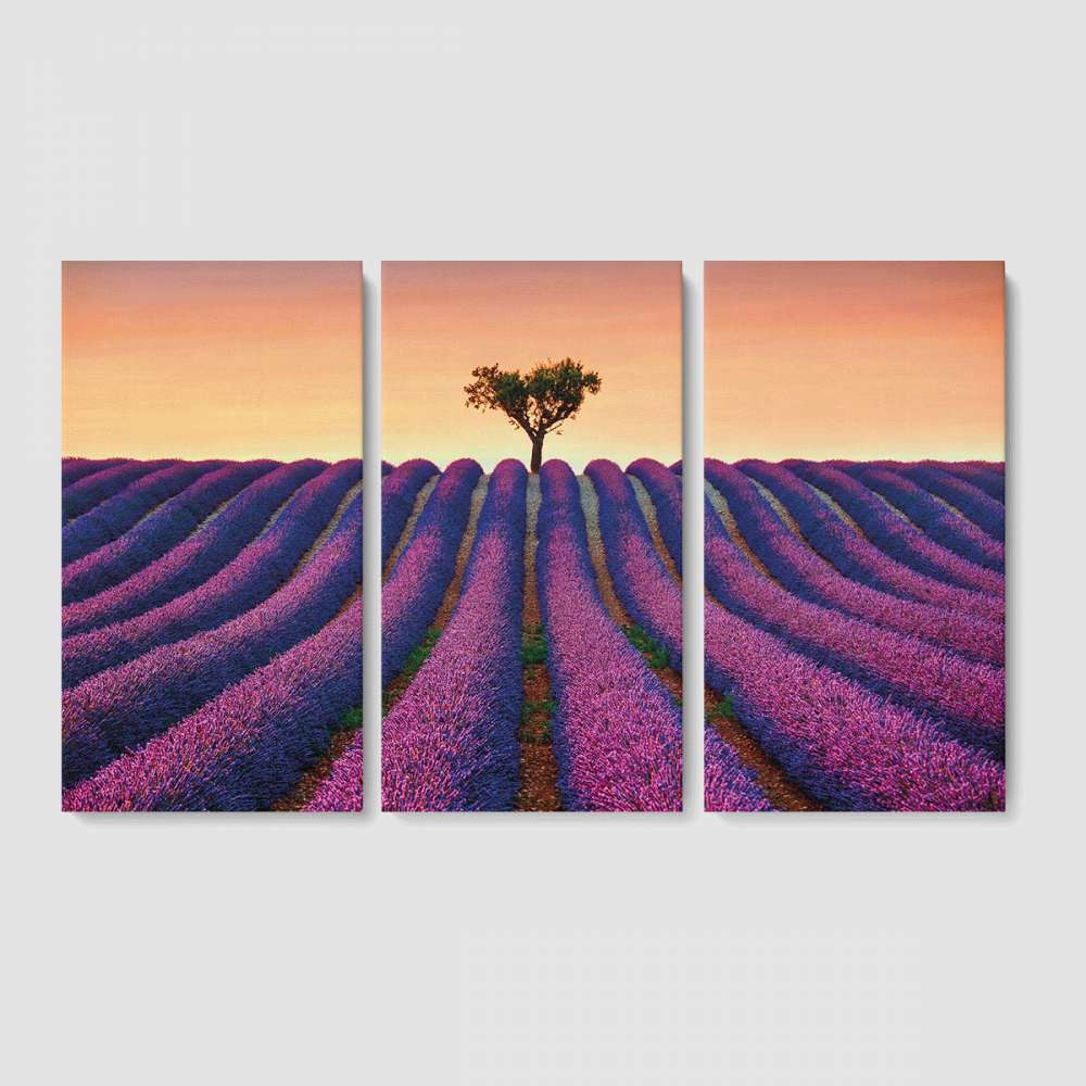 Картина модульная Malevich Store Лавандовое поле из трех частей 126x80 см (MK311623)