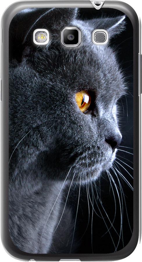Чехол на Samsung Galaxy Win i8552 Красивый кот (3038u-51-42517)