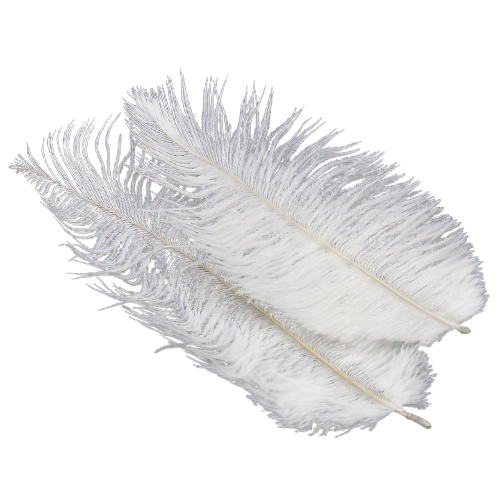 Перья страуса ЮАР 20-25 см 1 шт. Белый (ПР2025с01)