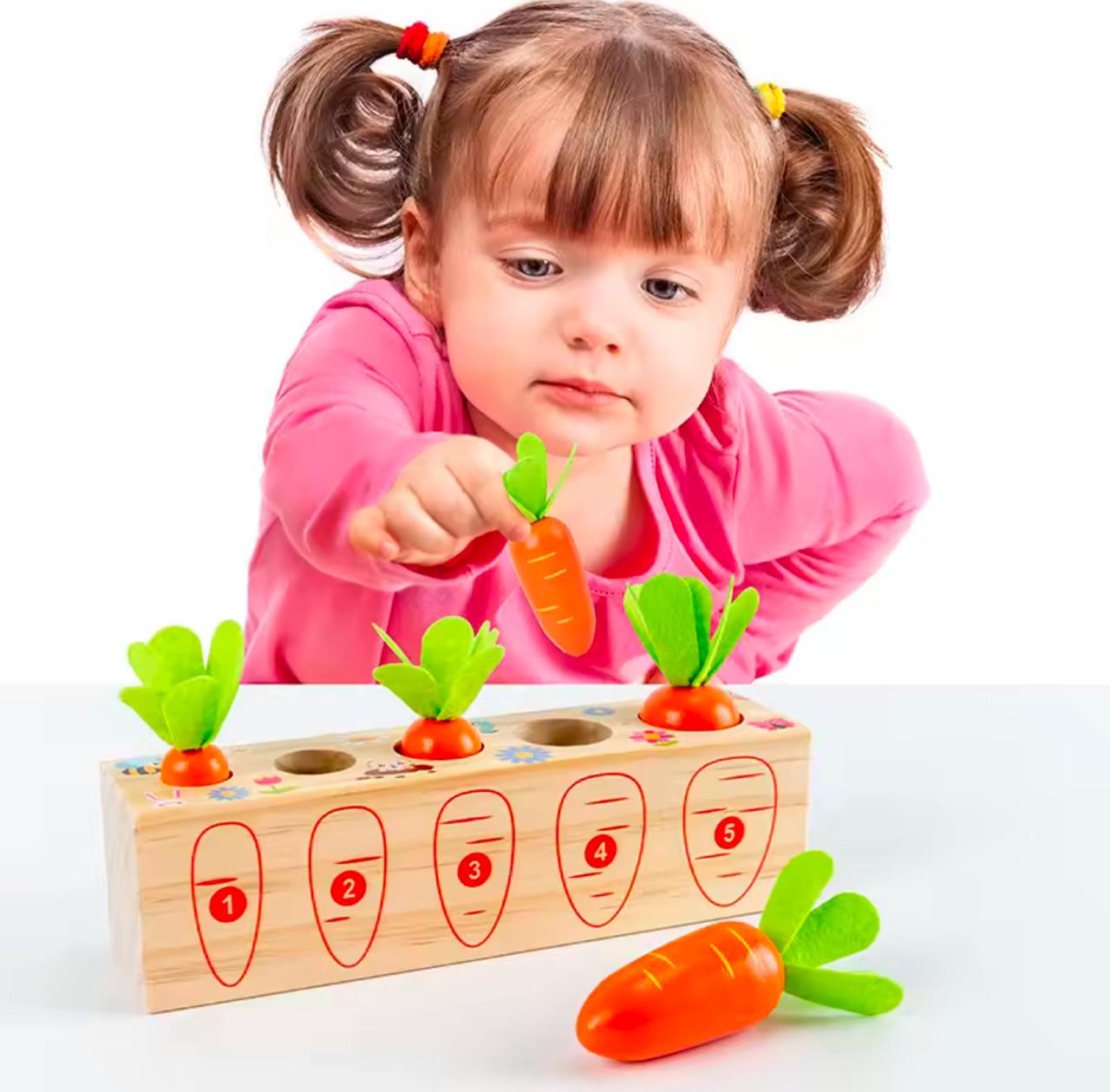 Игрушка для малышей Морковная сортировка с 5 морковками (56) - фото 3