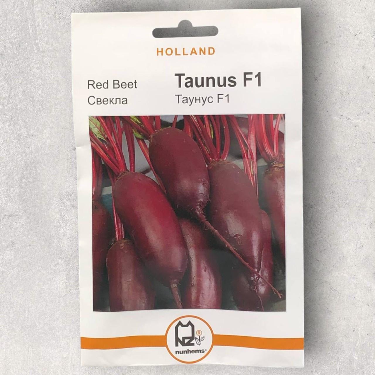 Семена свеклы Таунус F1 Holland 10 г (34411)