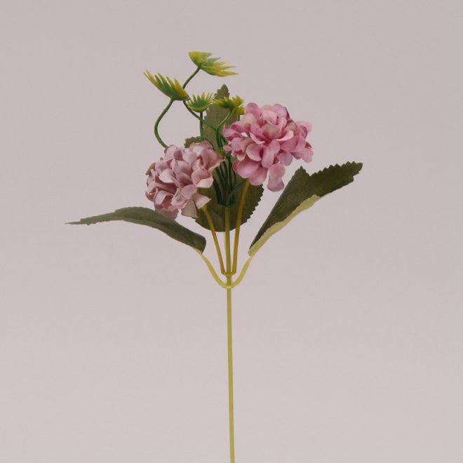 Цветок Flora Бархатка 6 шт. (72478)