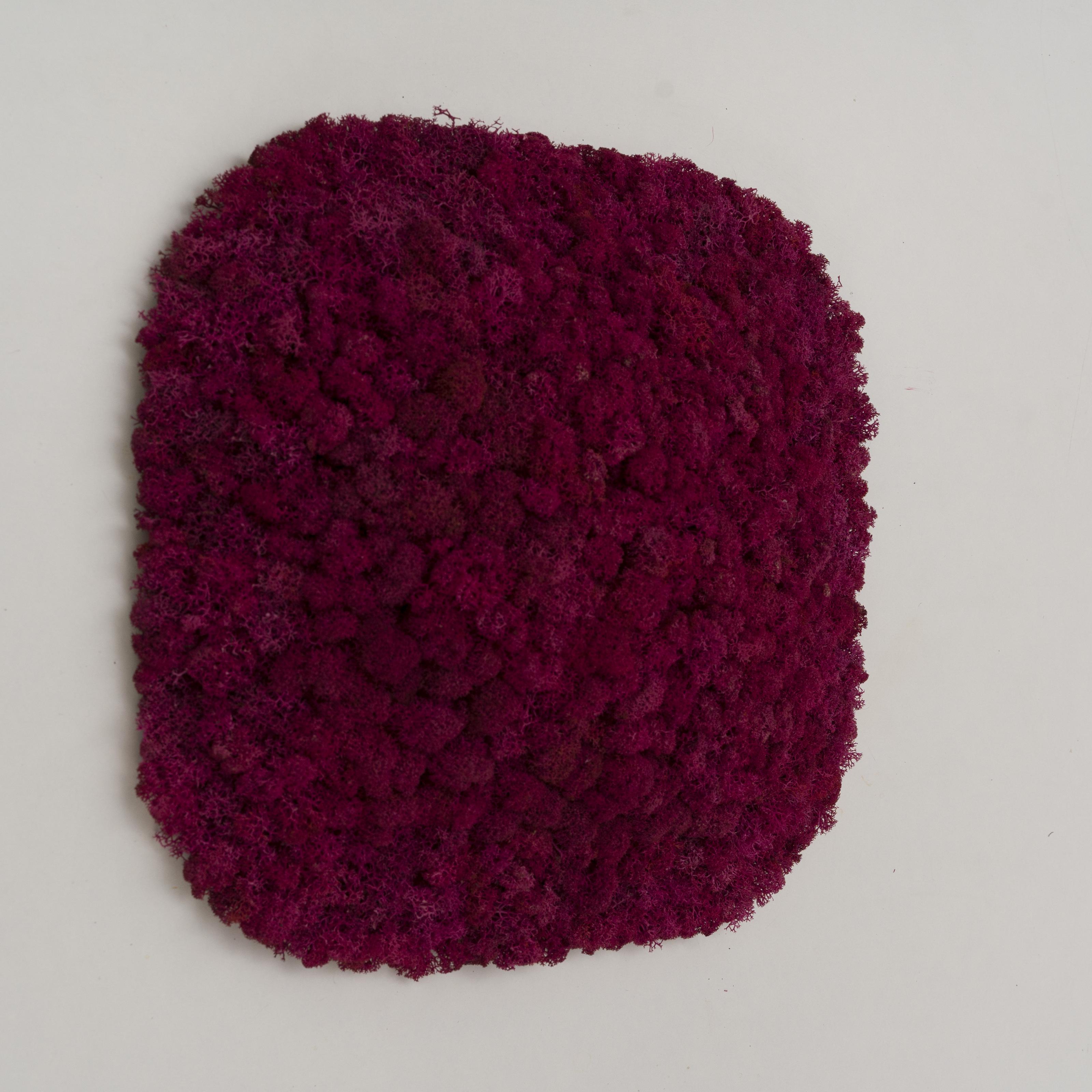 Декоративное панно из мха Organic Design Суперелипсная панель 33 см Fuchsia (704-10) Декоративное панно из мха Organic Design Суперелипсная панель 33 см Fuchsia (704-10)