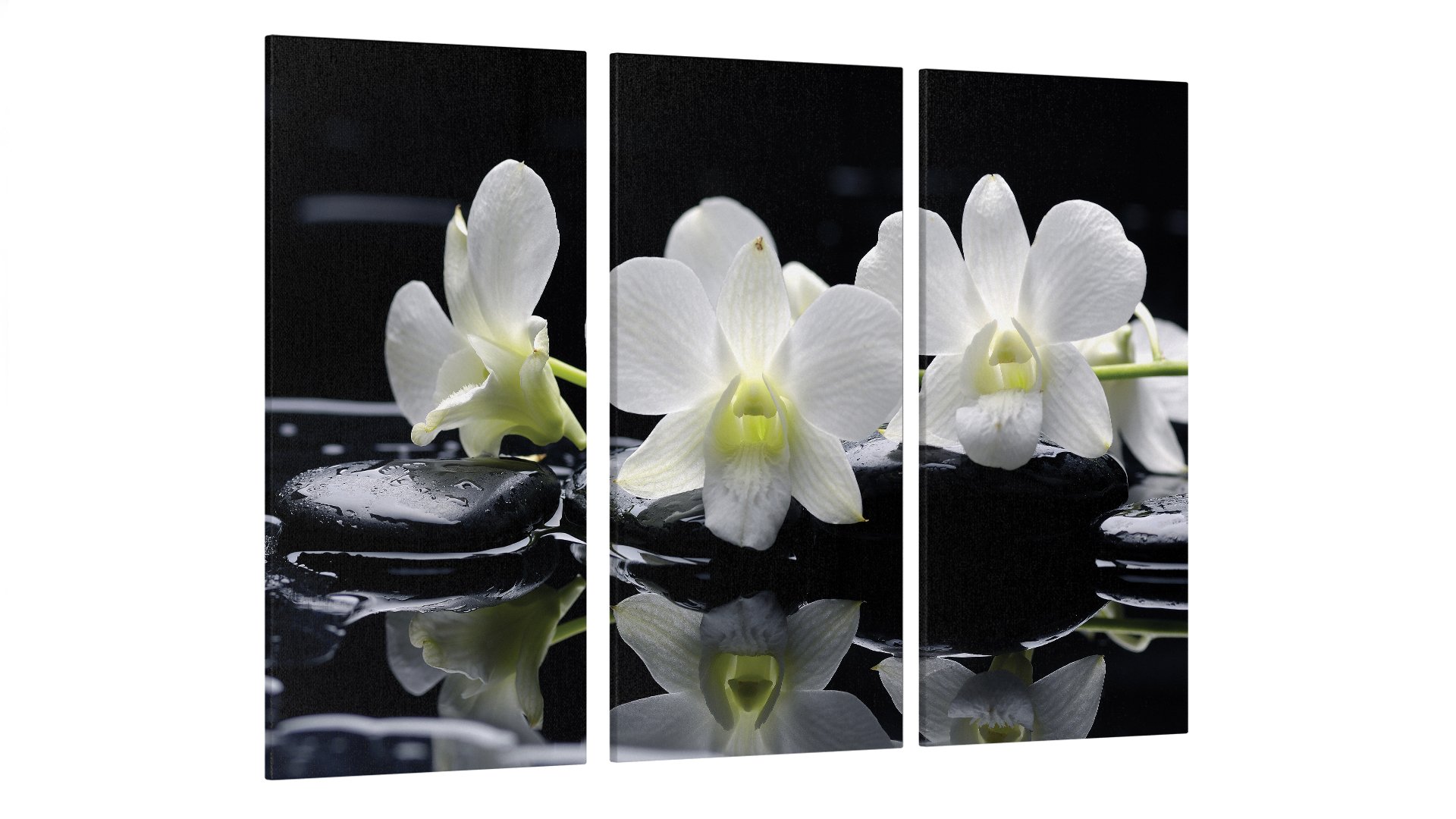 Картина модульная Цветы Камни (Art-35_XXL)