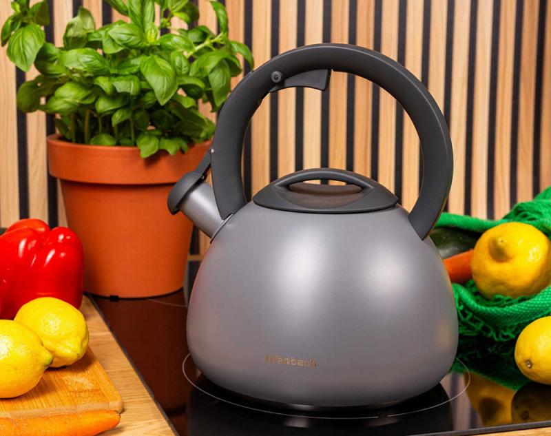 Чайник Ofenbach нержавеющая сталь со свистком 2,7 л Серый матовый (NB-100321) - фото 4 Чайник Ofenbach нержавеющая сталь со свистком 2,7 л Серый матовый (NB-100321) - фото 4