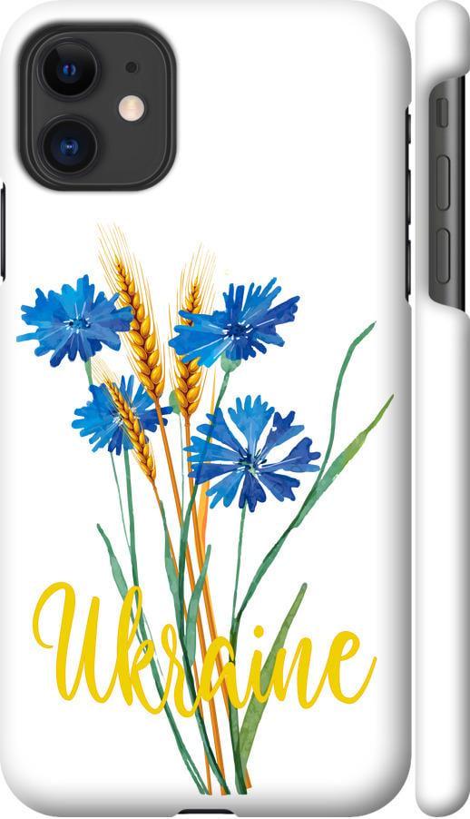Чехол на iPhone 11 Ukraine v2 (5445m-1722-42517)