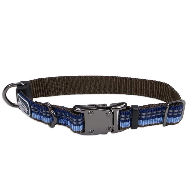 Ошейник светоотражающий для собак Coastal K9 Explorer Collar 1,6х20-30 см (36422_FRN12) Ошейник светоотражающий для собак Coastal K9 Explorer Collar 1,6х20-30 см (36422_FRN12)