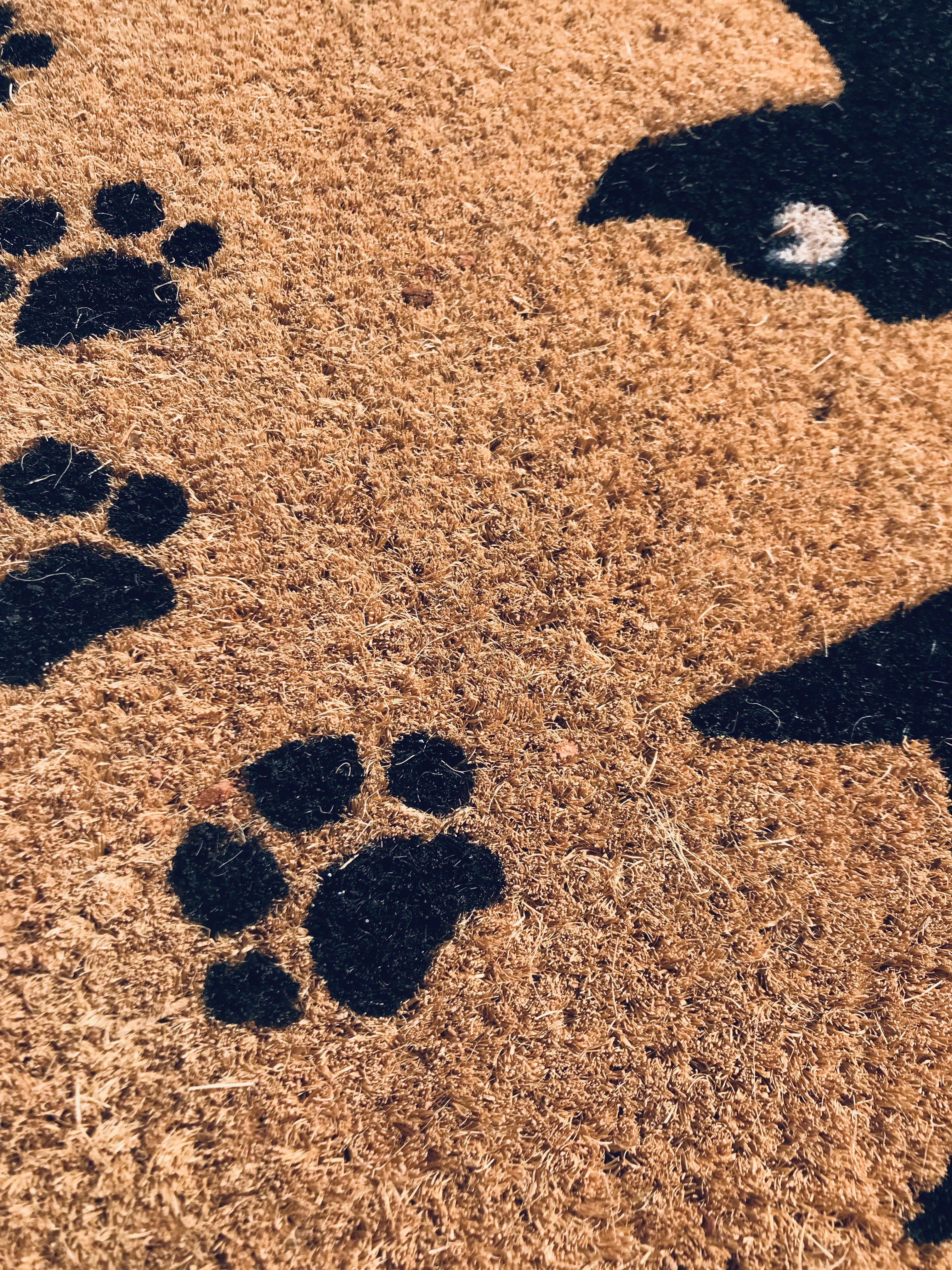 Килимок гумовий придверний Кокос Коти 40х60 см - фото 4