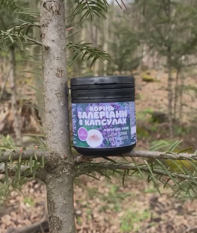 Корінь валеріани в капсулах 60 шт. (2589091487)