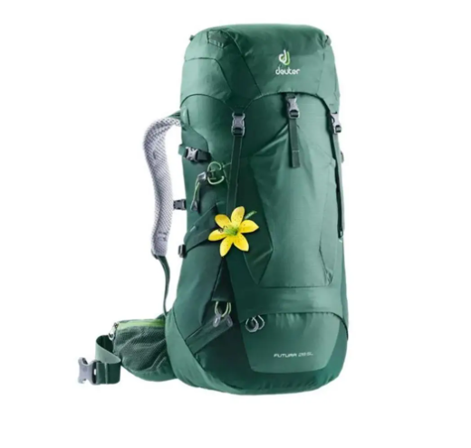 Рюкзак Deuter Futura 28 SL Seagreen-Forest (1052-3400618 2247)