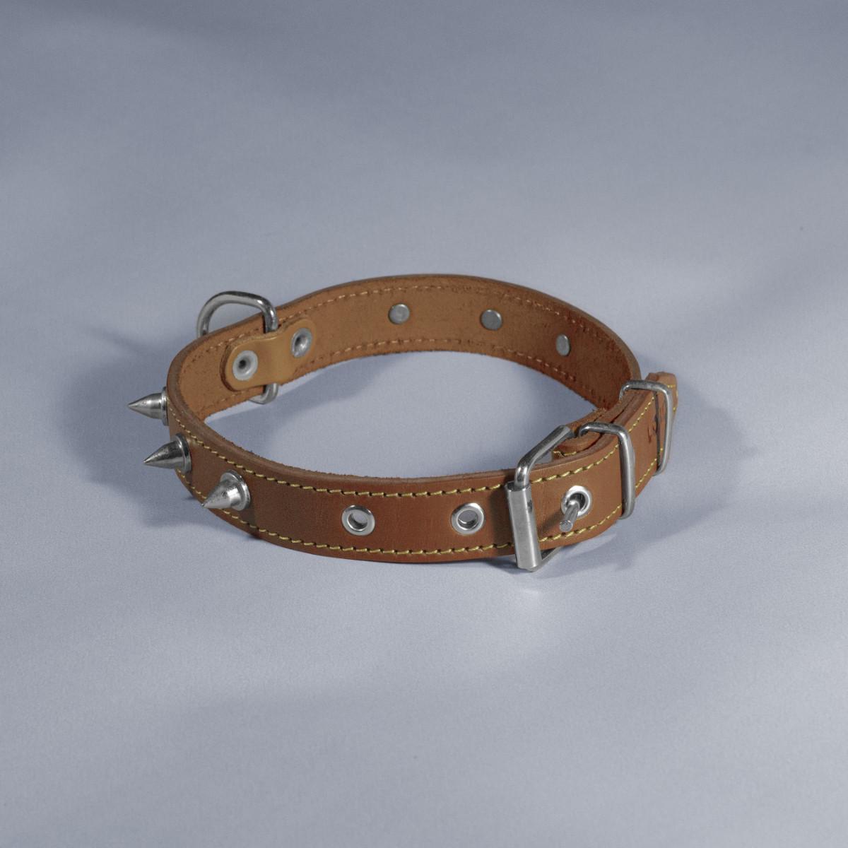 Нашийник для тварин шкіряний з ШИПАМИ 25 мм х 36-45 см Коричневий (2296445210)