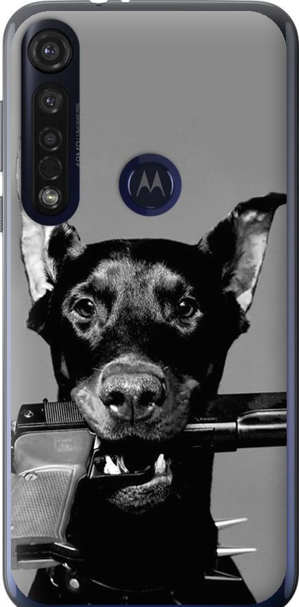 Чехол на Motorola G8 Plus Доберман (2745u-1837-42517)